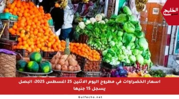 أسعار الخضراوات في مطروح اليوم الاثنين 25 أغسطس 2025: البصل يسجل 15 جنيها